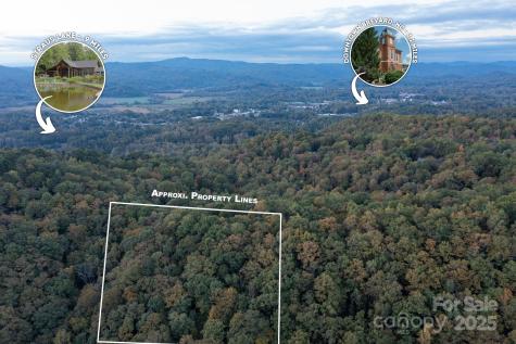 Tbd Pine Mountain Trail Brevard NC 28712