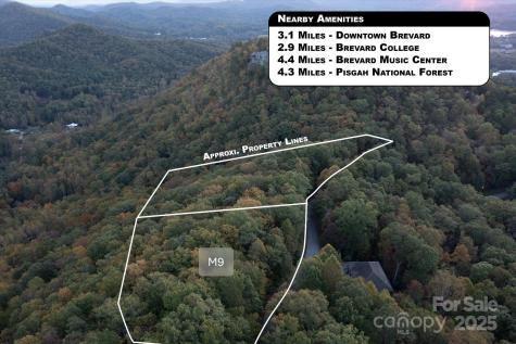 Tbd Pine Mountain Trail Brevard NC 28712
