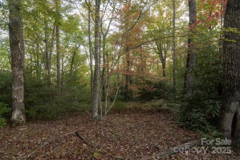 Tbd Pine Mountain Trail Brevard NC 28712