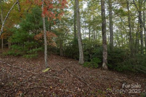 Tbd Pine Mountain Trail Brevard NC 28712