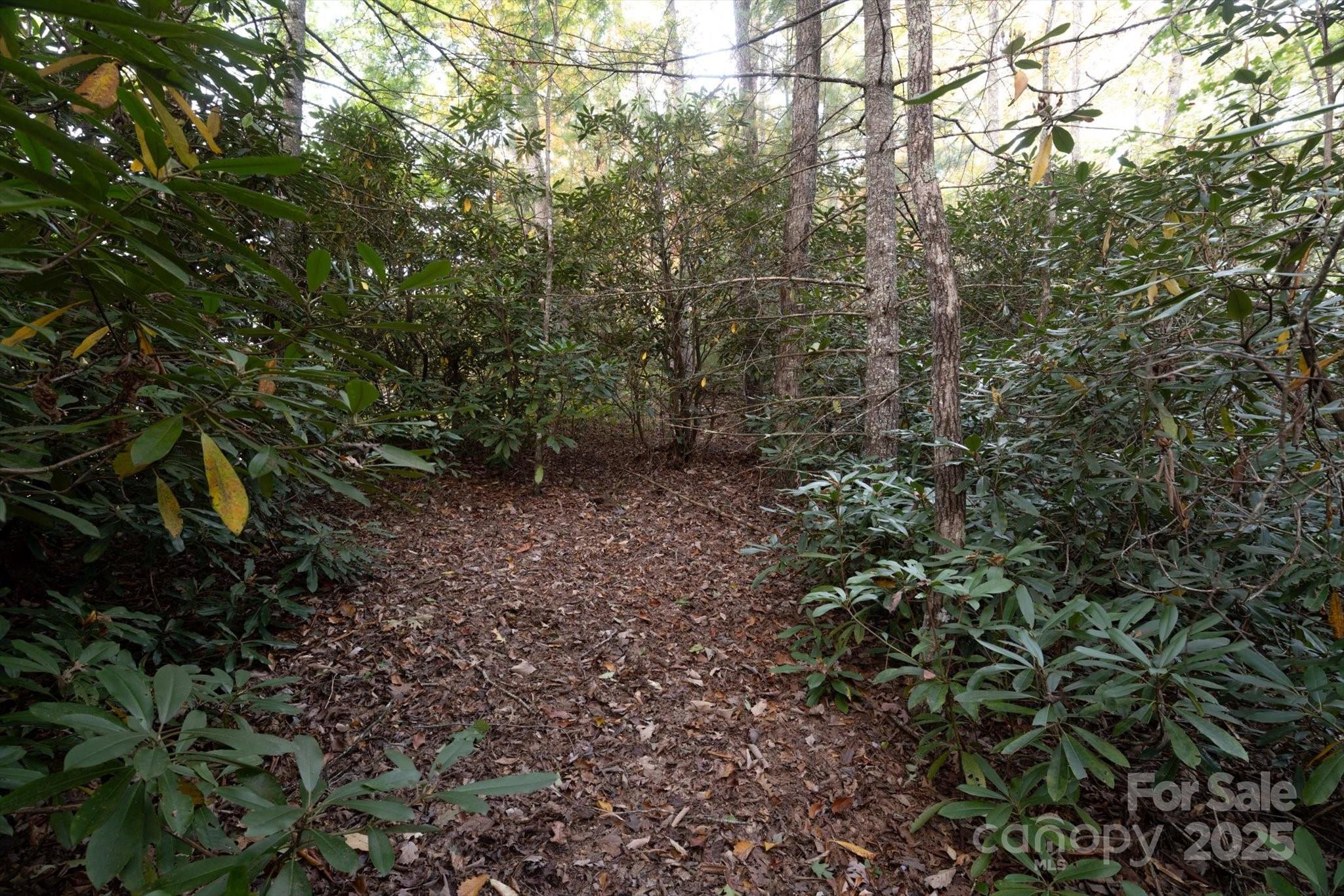 Tbd Pine Mountain Trail Brevard NC 28712