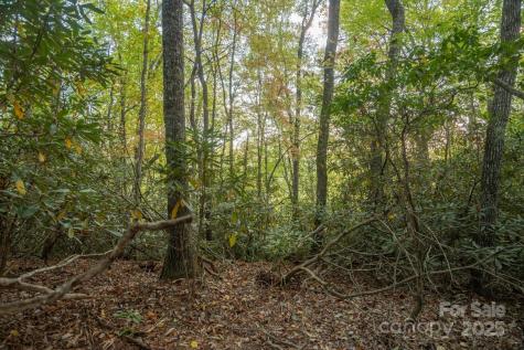 Tbd Pine Mountain Trail Brevard NC 28712