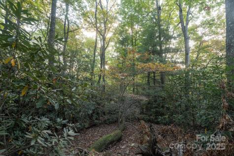 Tbd Pine Mountain Trail Brevard NC 28712