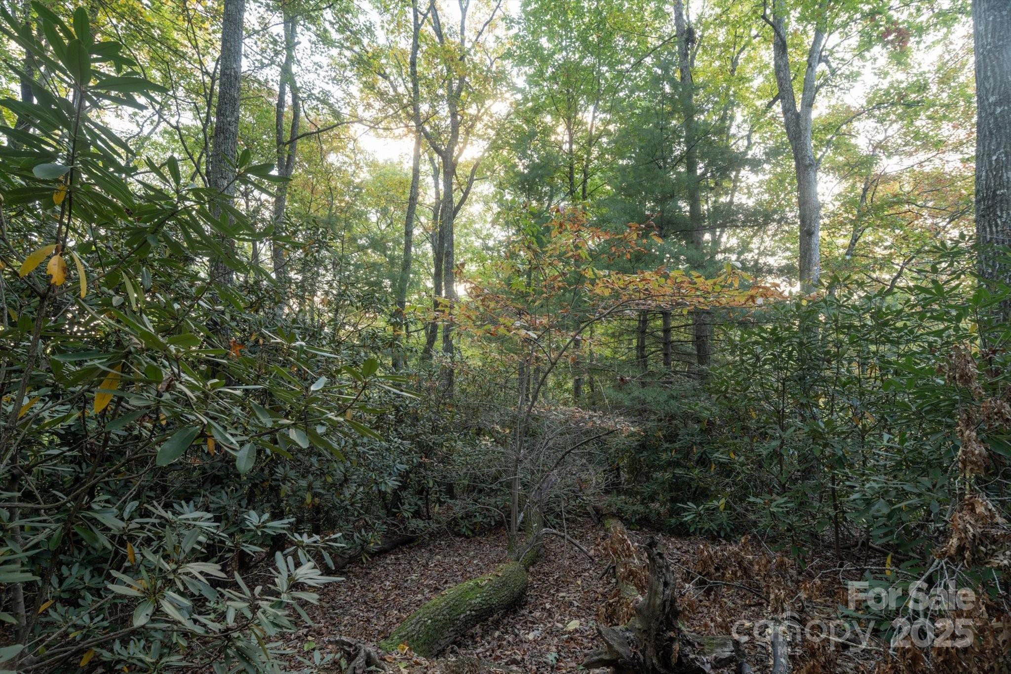 Tbd Pine Mountain Trail Brevard NC 28712