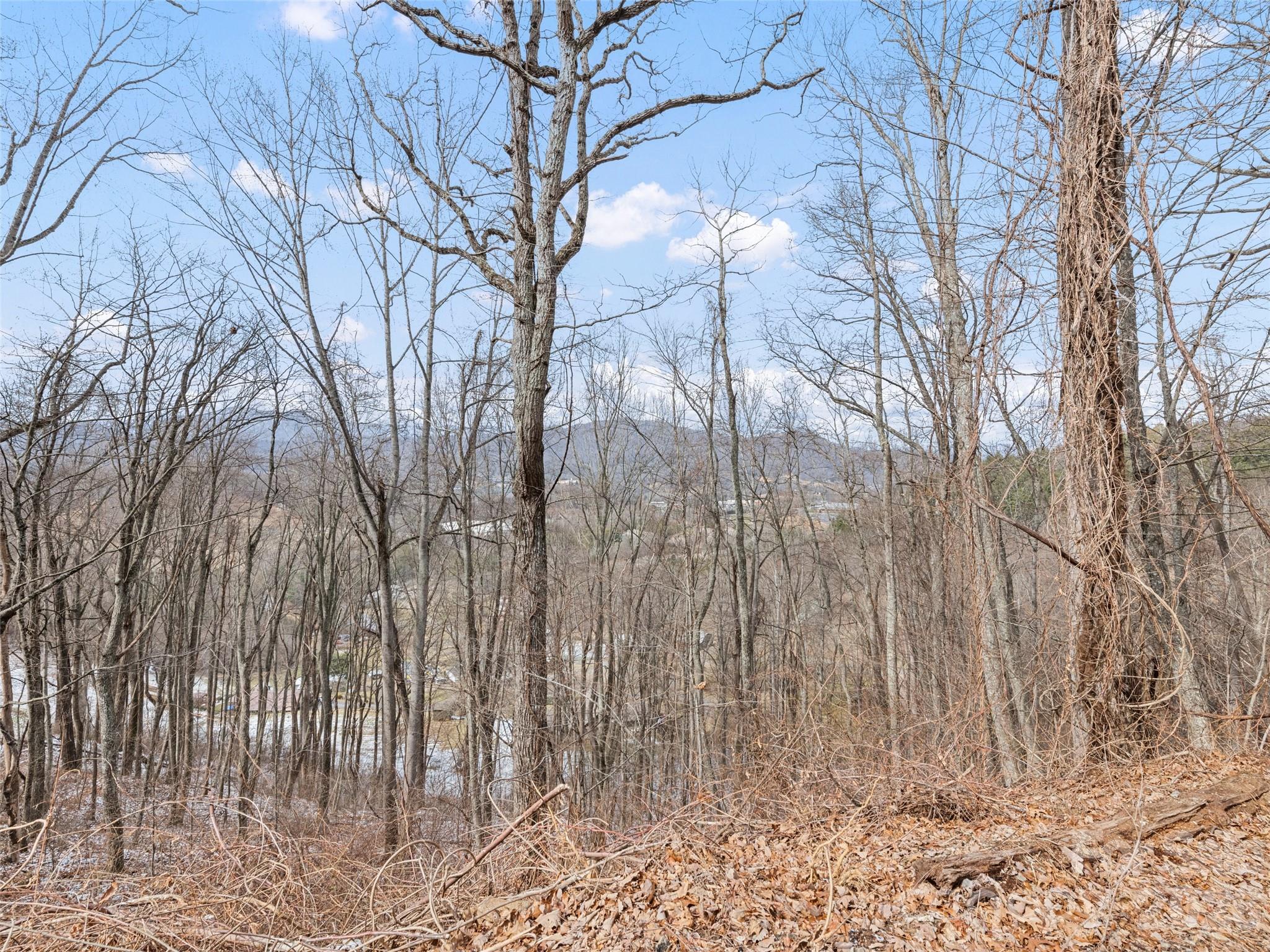 Lot #8 Viewpoint Mountain Waynesville NC 28786