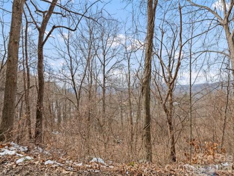 Lot #8 Viewpoint Mountain Waynesville NC 28786