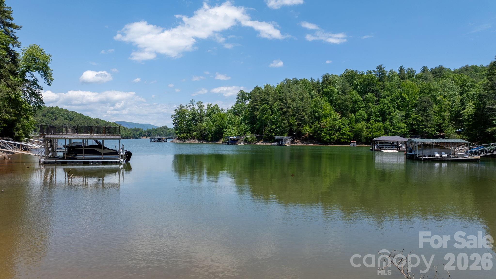 45 Harborside Drive Nebo NC 28761