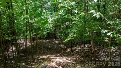 45 Harborside Drive Nebo NC 28761