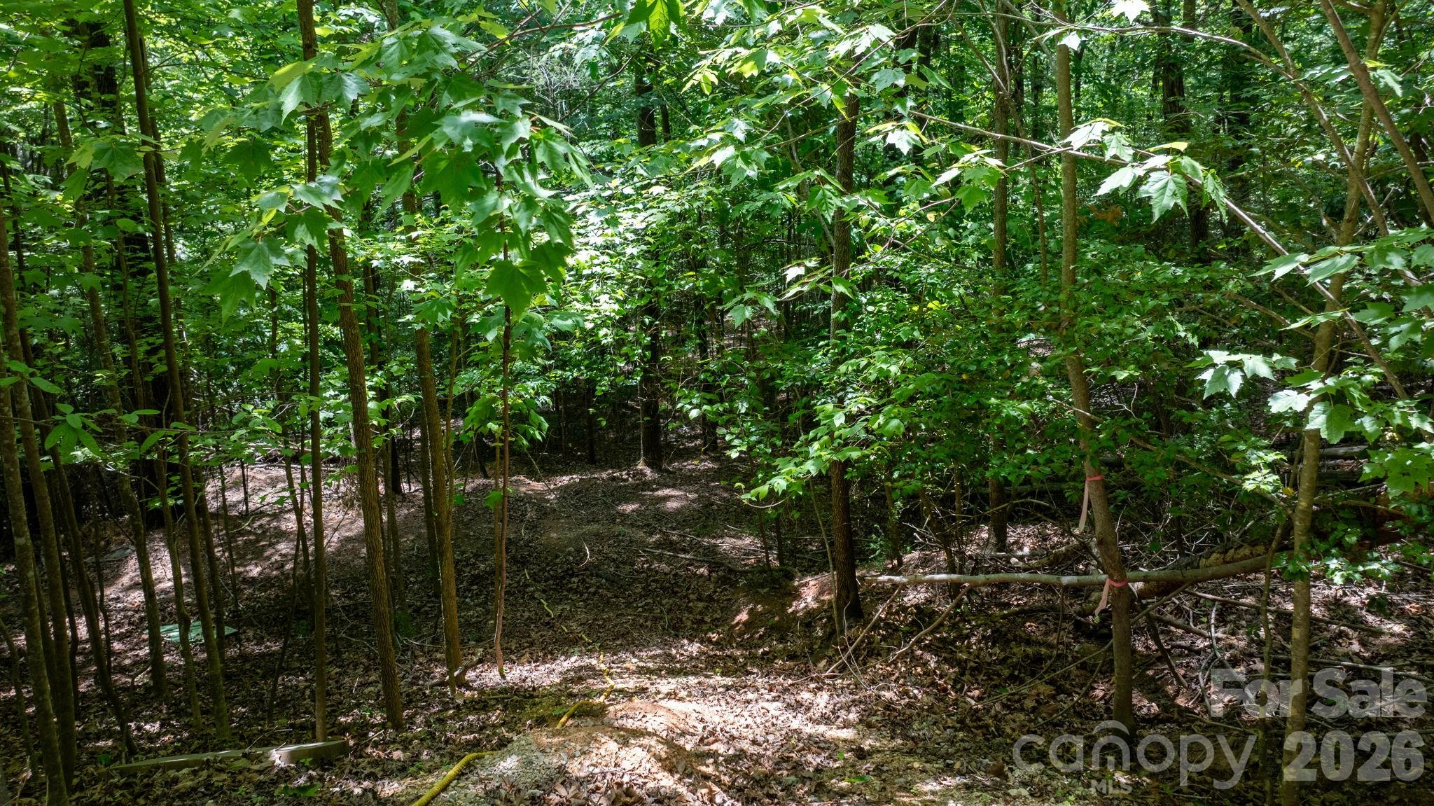 45 Harborside Drive Nebo NC 28761