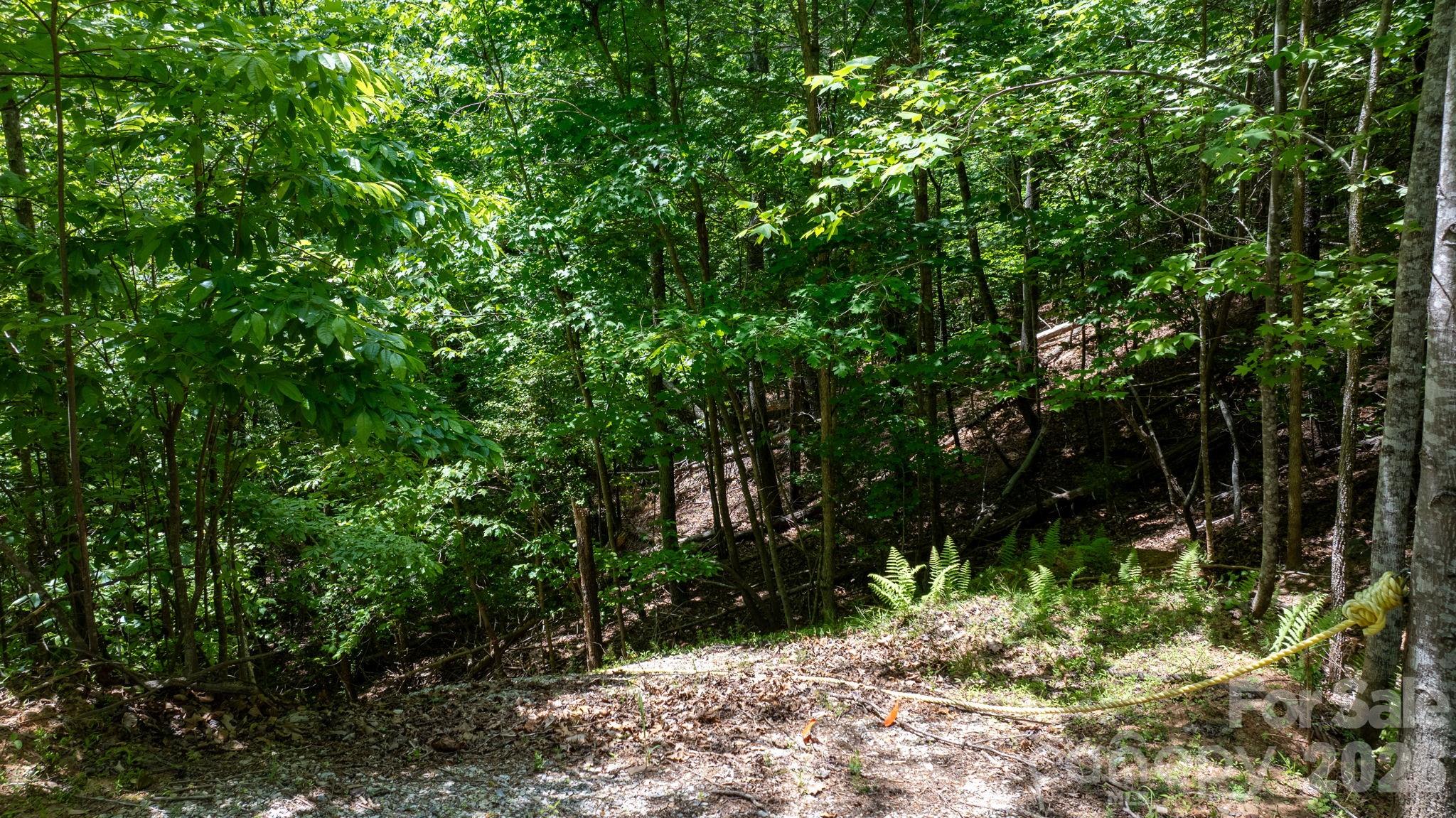 45 Harborside Drive Nebo NC 28761