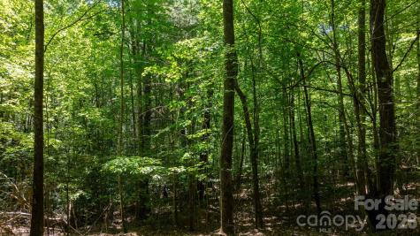 45 Harborside Drive Nebo NC 28761