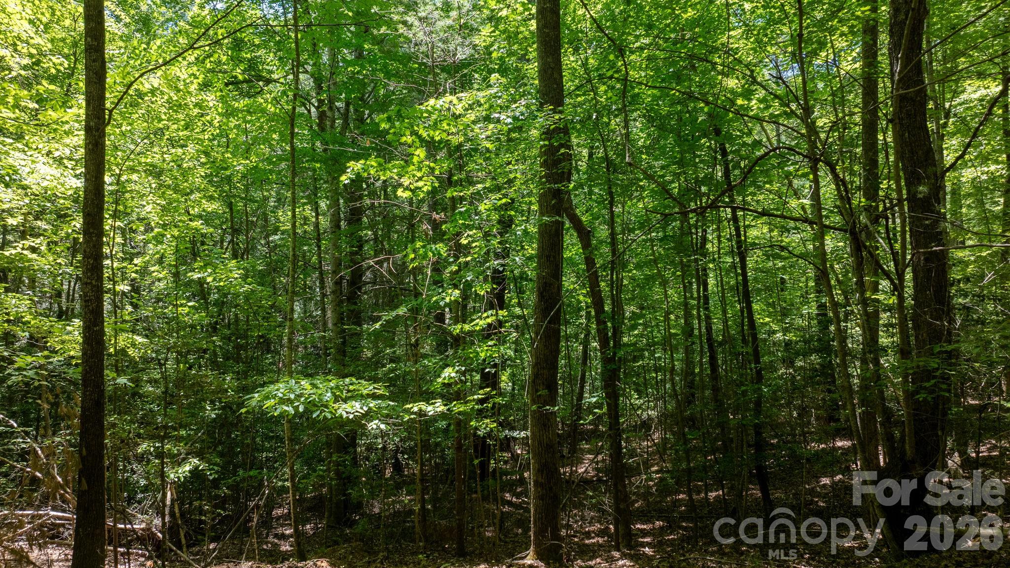 45 Harborside Drive Nebo NC 28761