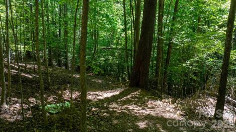 45 Harborside Drive Nebo NC 28761