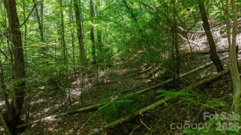 45 Harborside Drive Nebo NC 28761