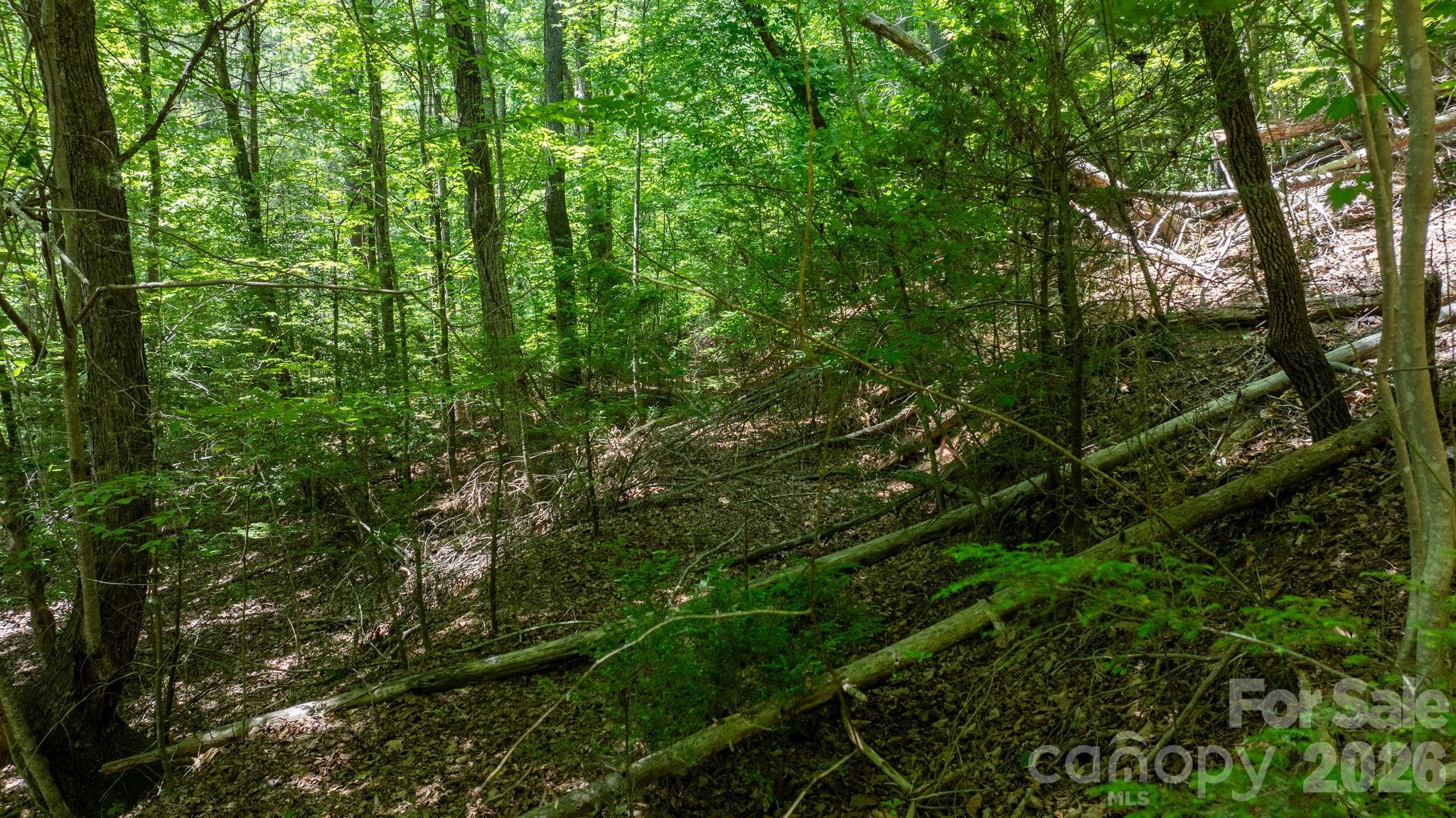 45 Harborside Drive Nebo NC 28761