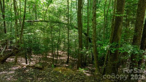 45 Harborside Drive Nebo NC 28761