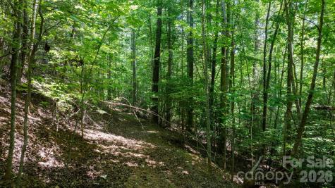 45 Harborside Drive Nebo NC 28761