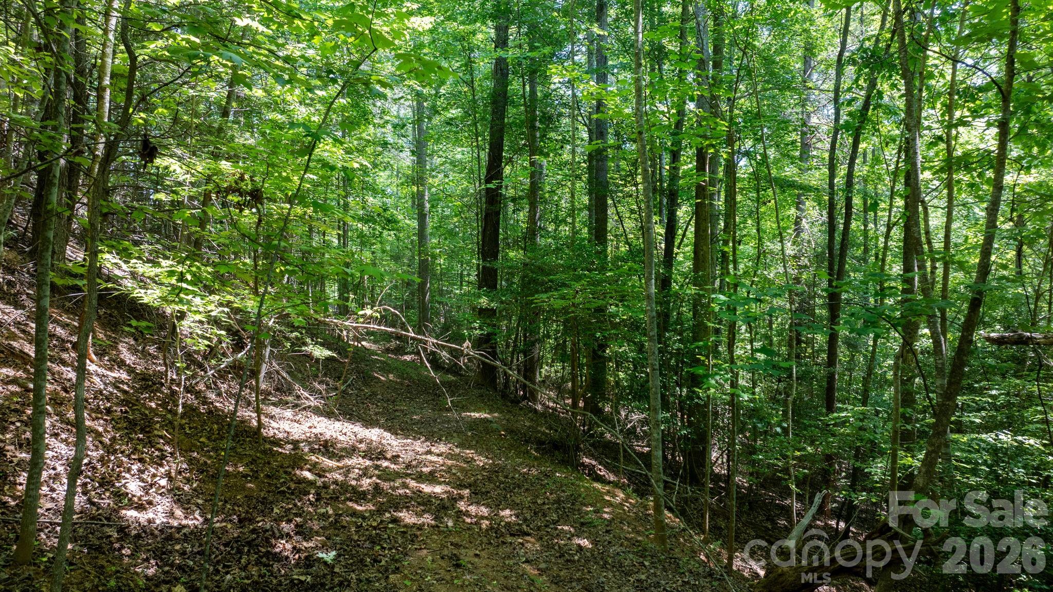 45 Harborside Drive Nebo NC 28761