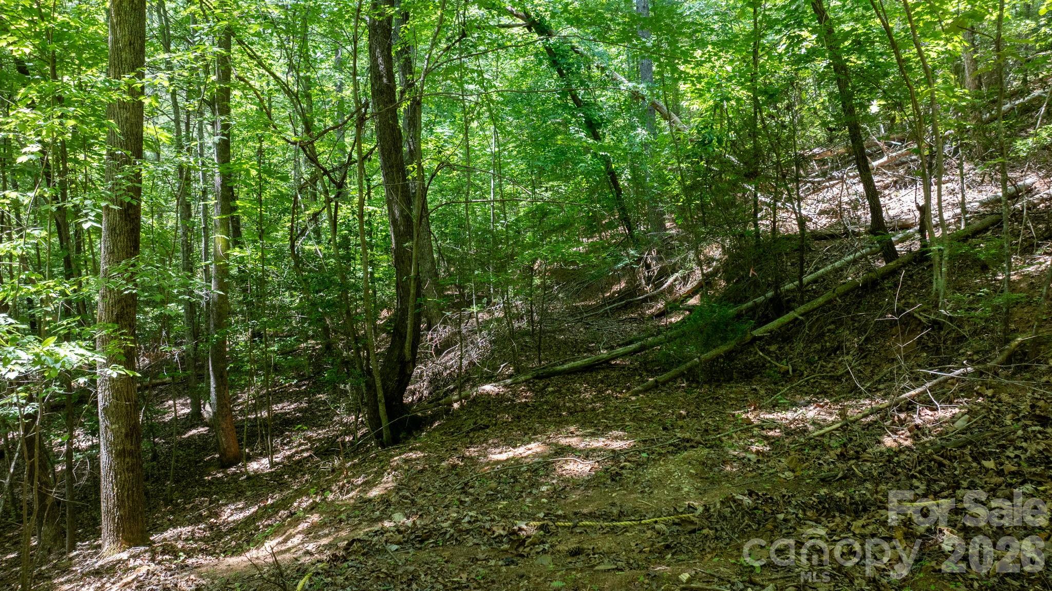 45 Harborside Drive Nebo NC 28761