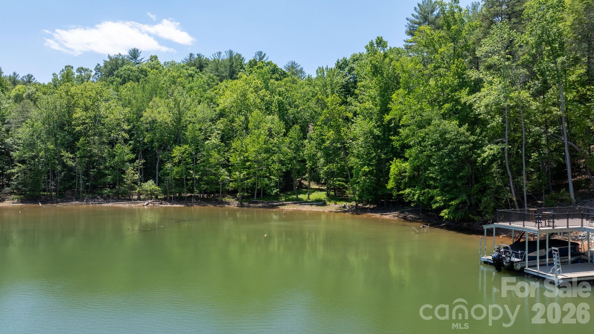 45 Harborside Drive Nebo NC 28761
