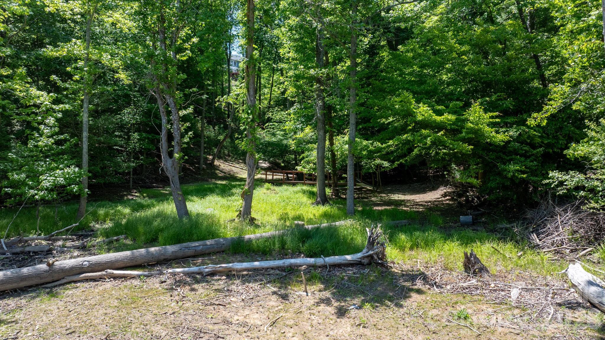 45 Harborside Drive Nebo NC 28761