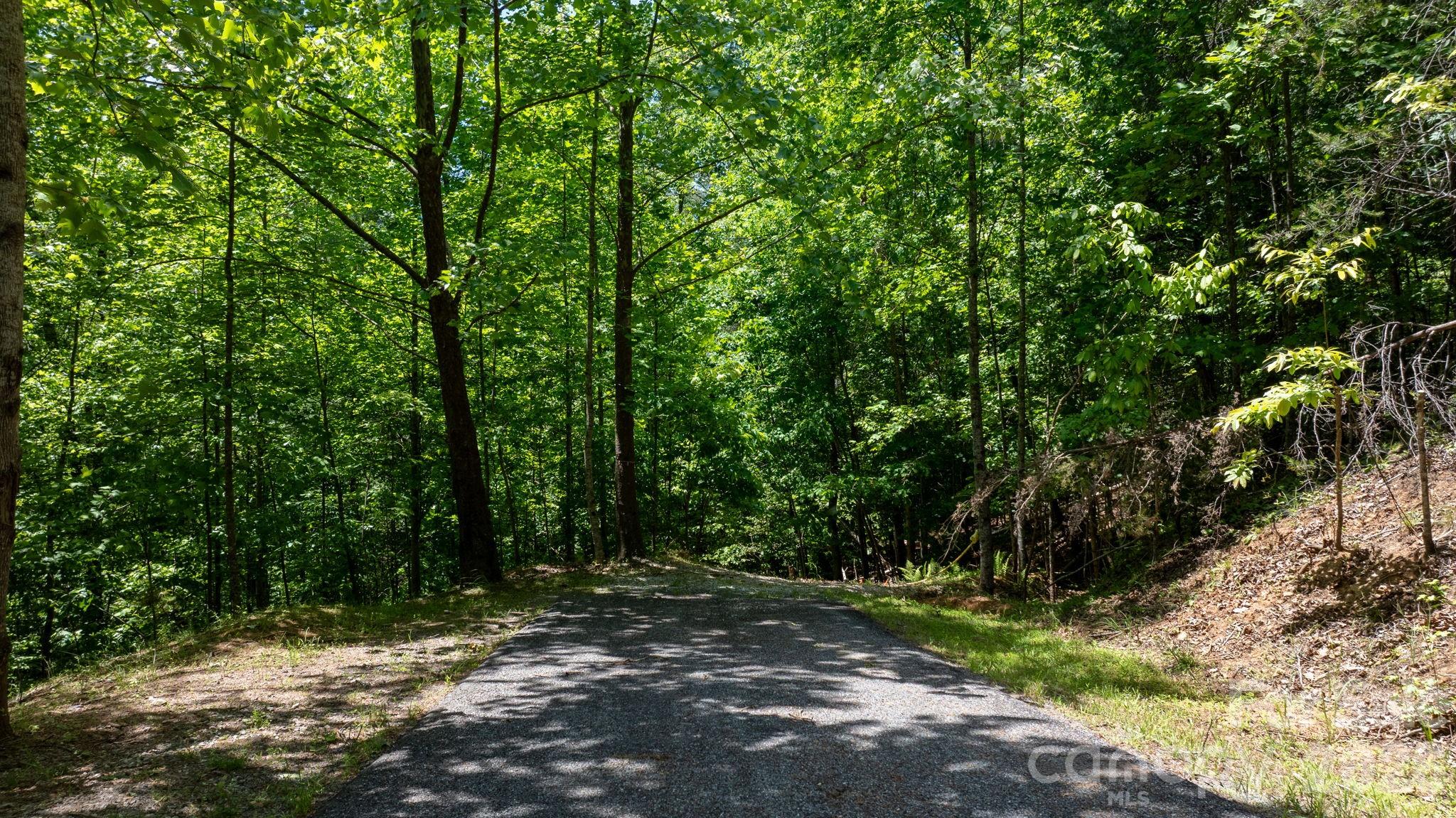 45 Harborside Drive Nebo NC 28761
