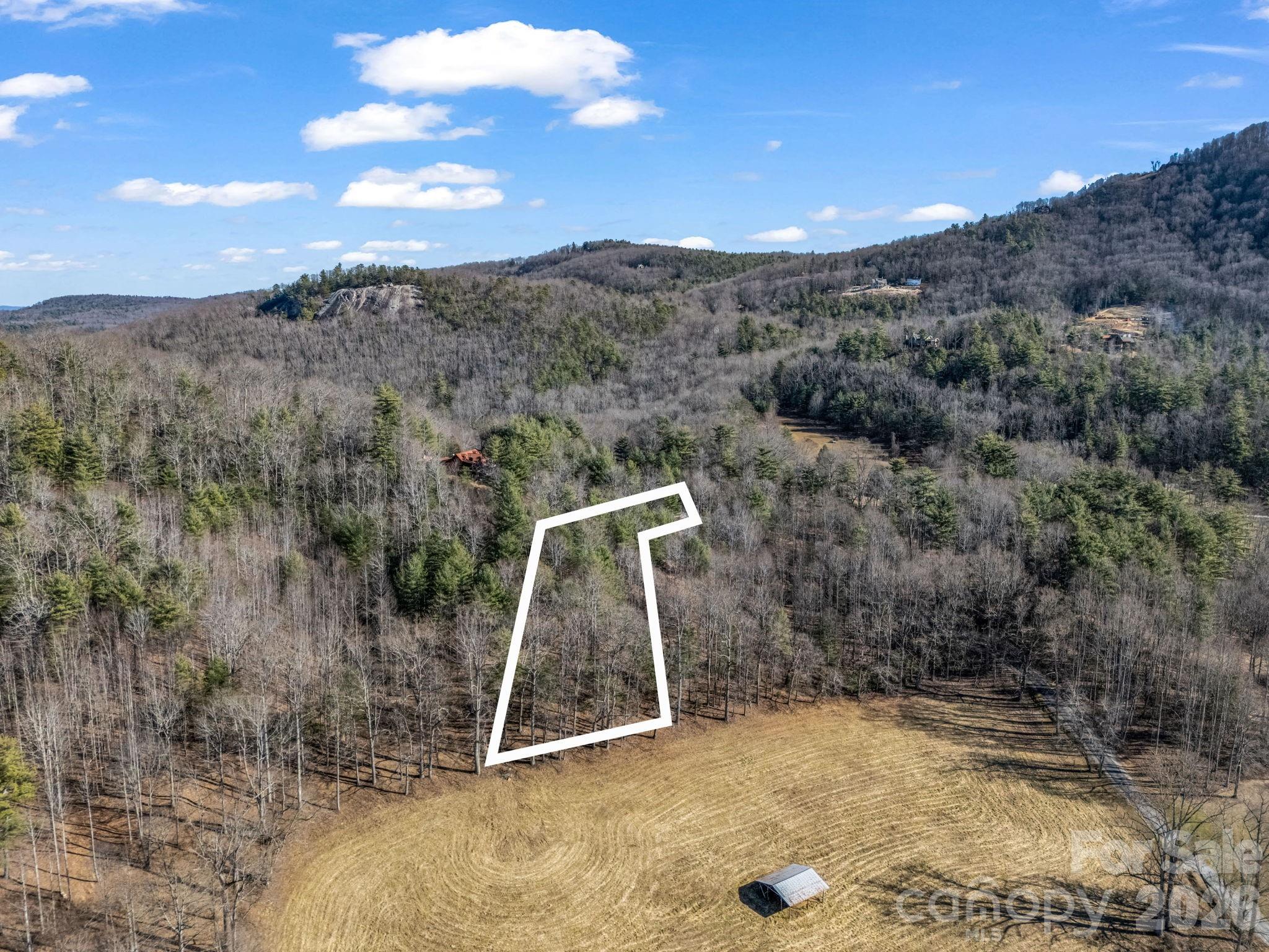 171 Justamere Lane Hendersonville NC 28739