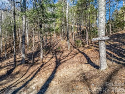 171 Justamere Lane Hendersonville NC 28739