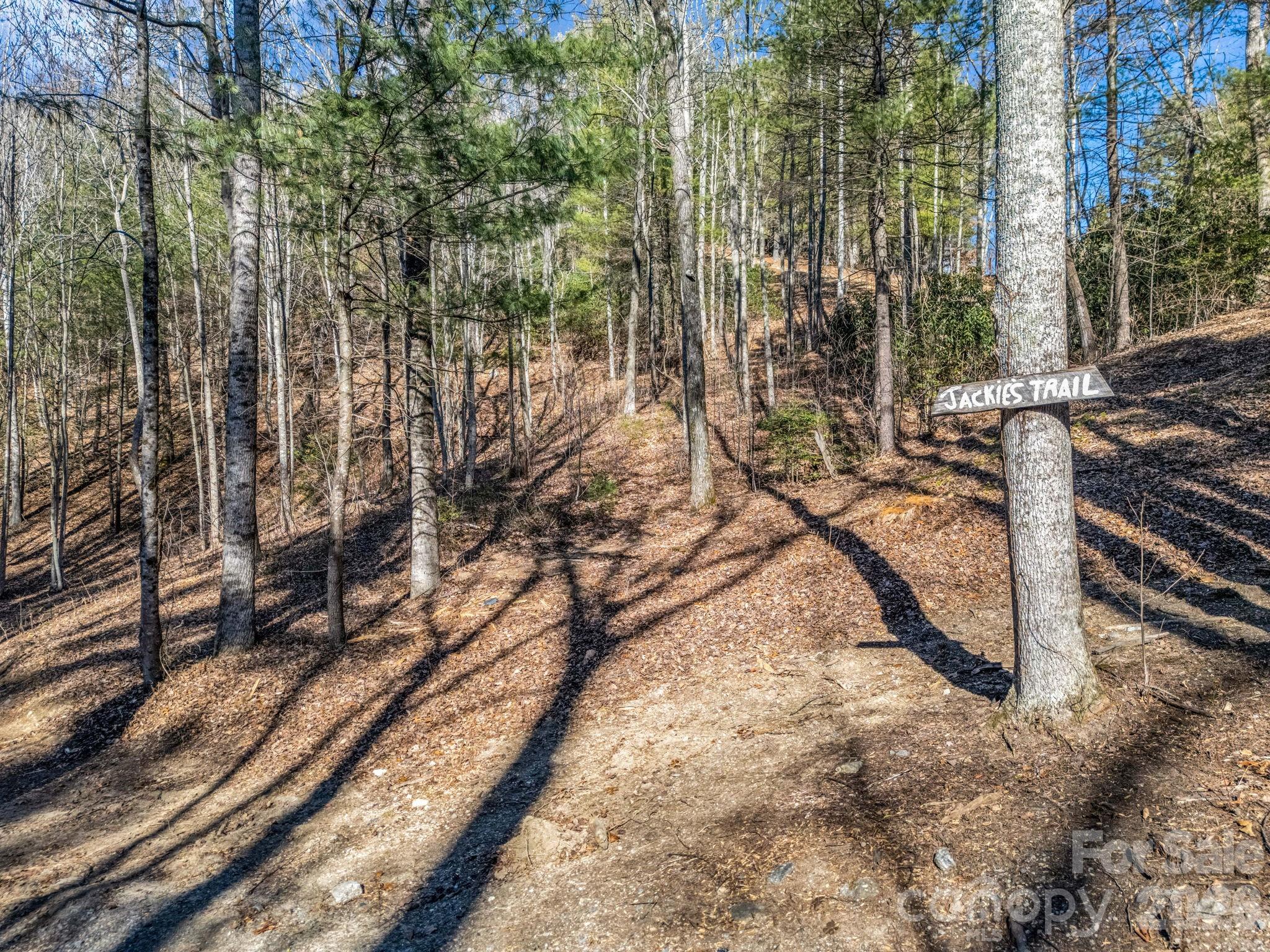 171 Justamere Lane Hendersonville NC 28739