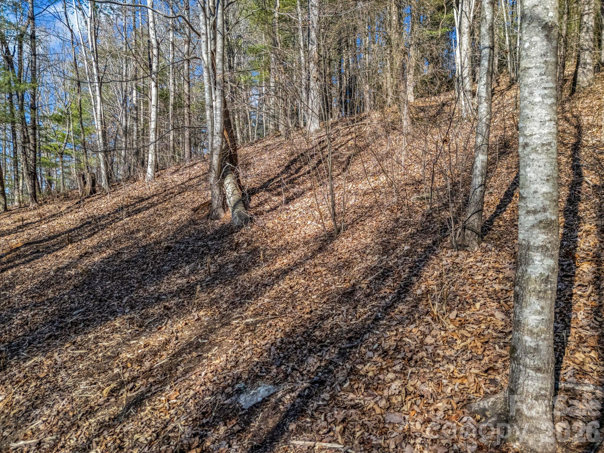 171 Justamere Lane Hendersonville NC 28739