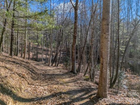 171 Justamere Lane Hendersonville NC 28739