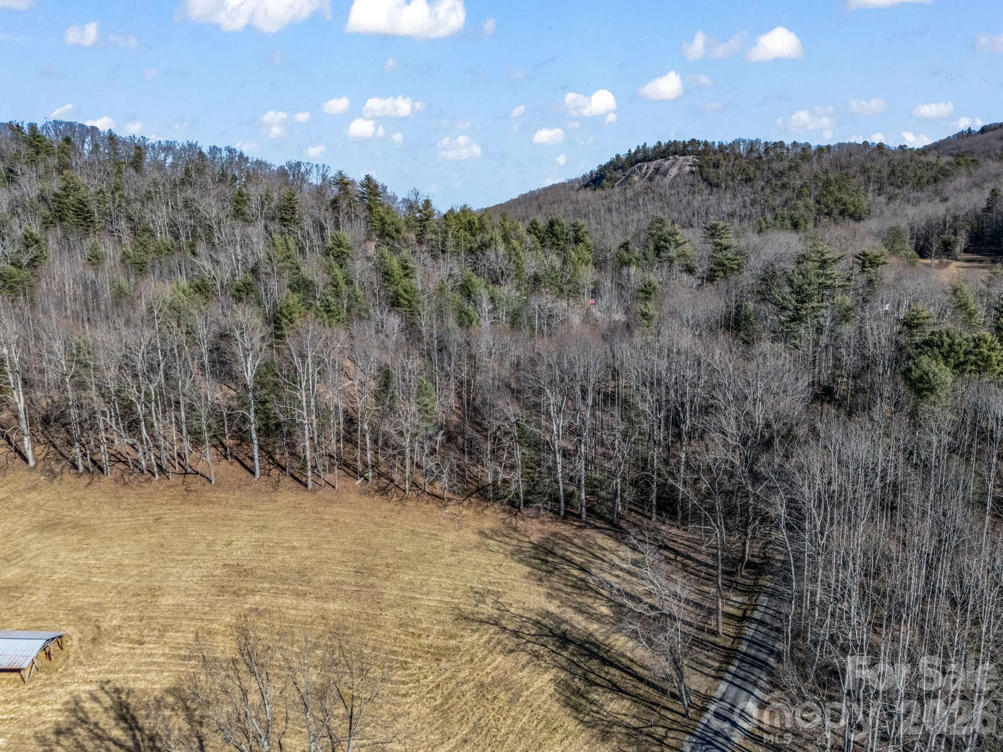 171 Justamere Lane Hendersonville NC 28739