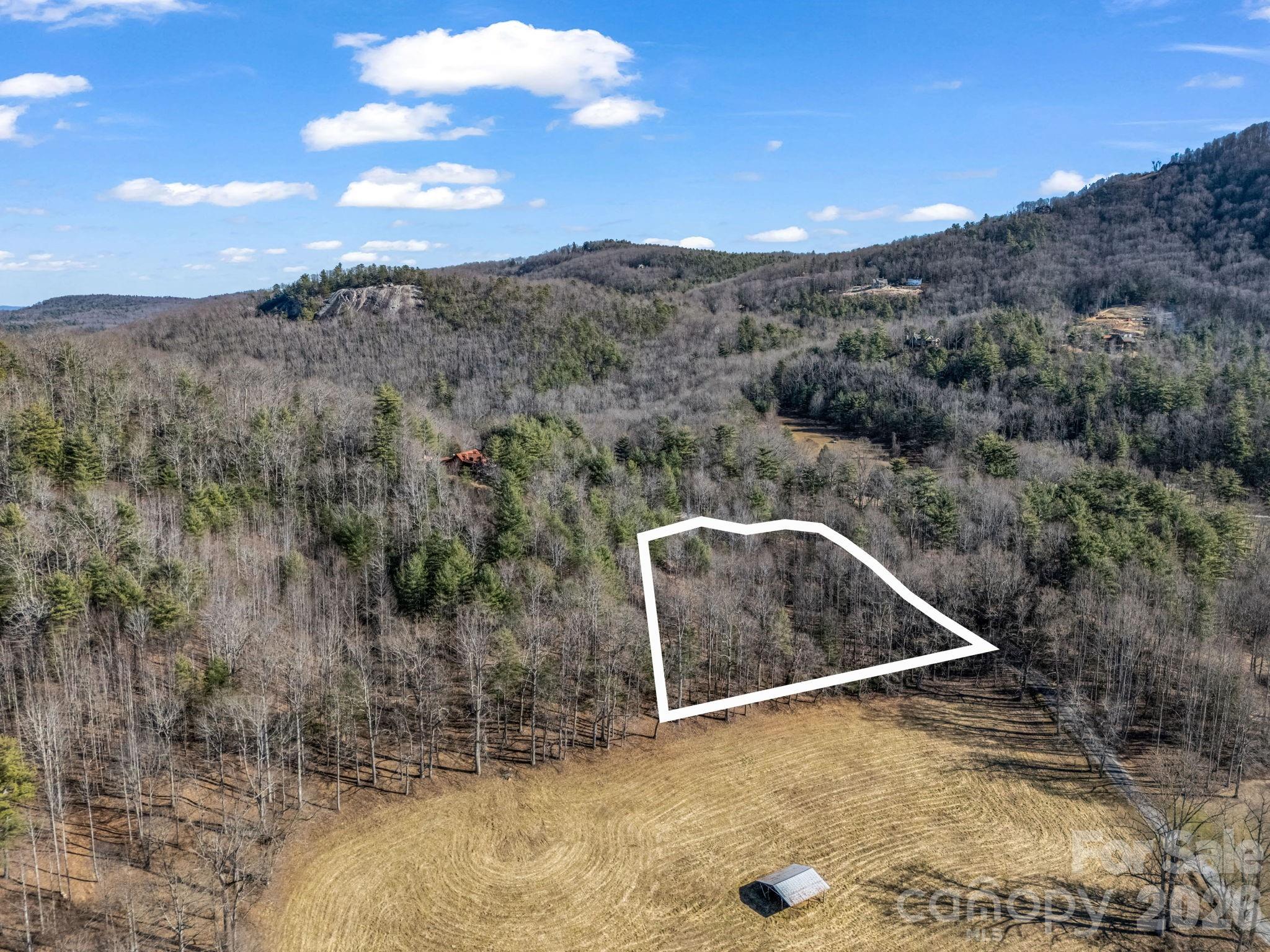 171 Justamere Lane Hendersonville NC 28739