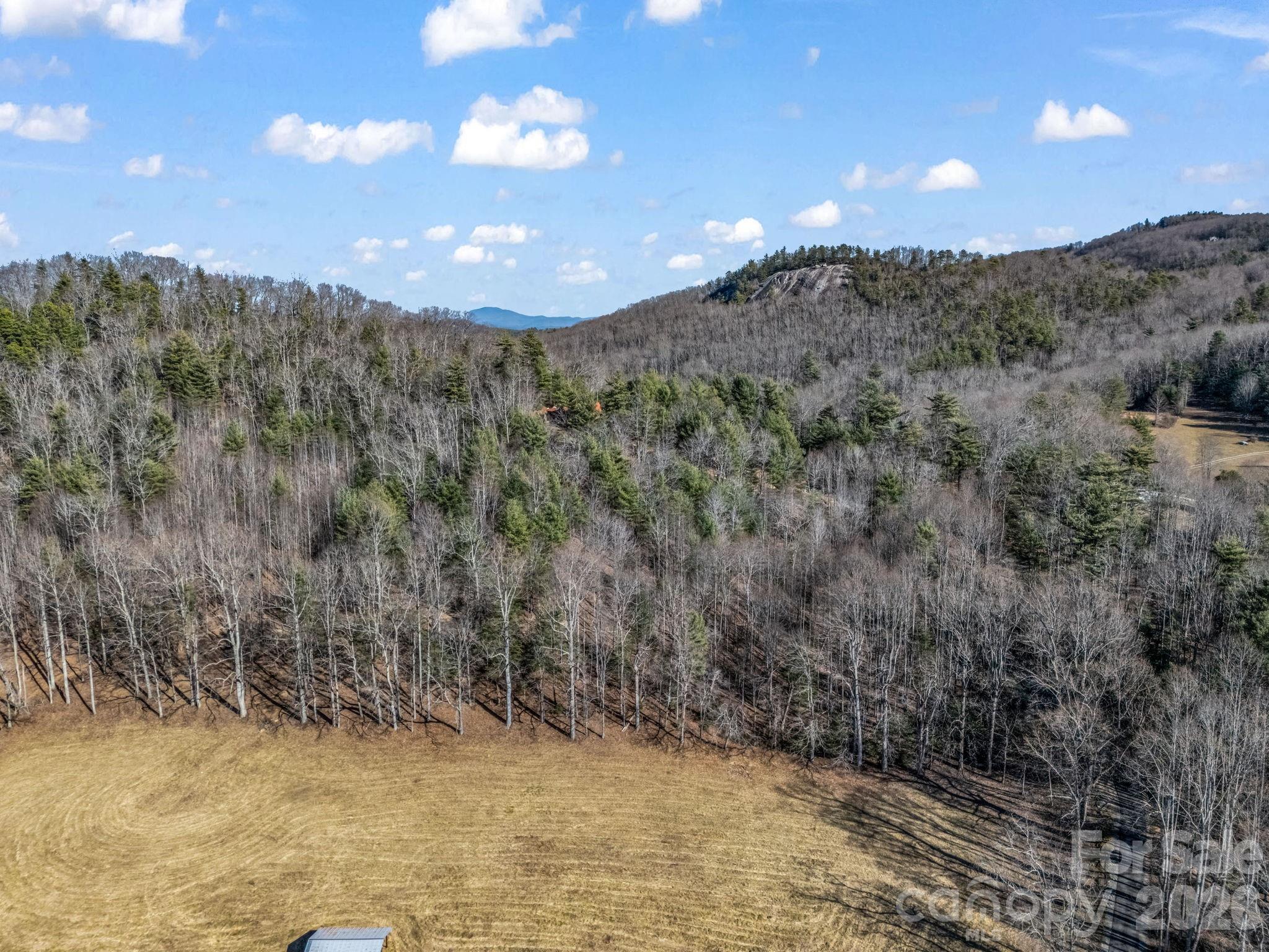 171 Justamere Lane Hendersonville NC 28739