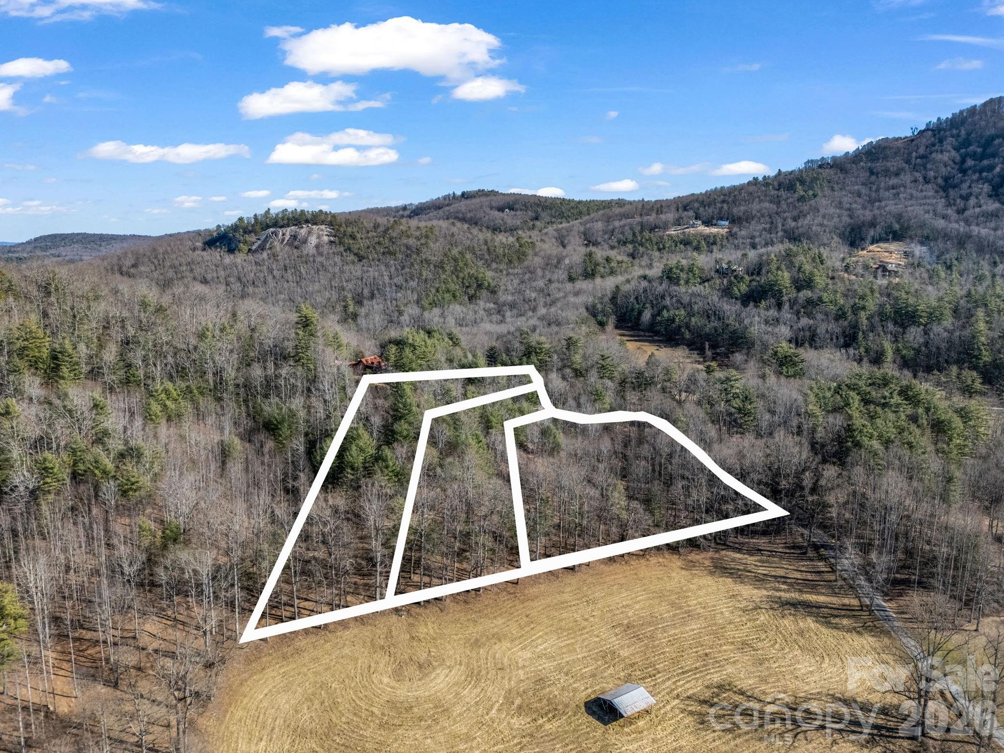 171 Justamere Lane Hendersonville NC 28739