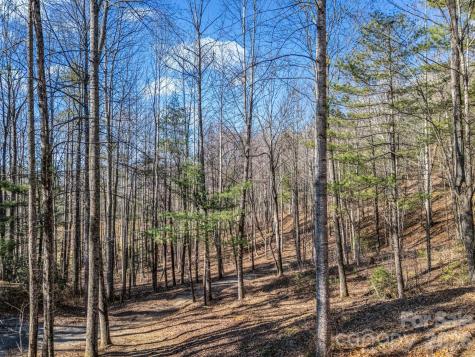 171 Justamere Lane Hendersonville NC 28739