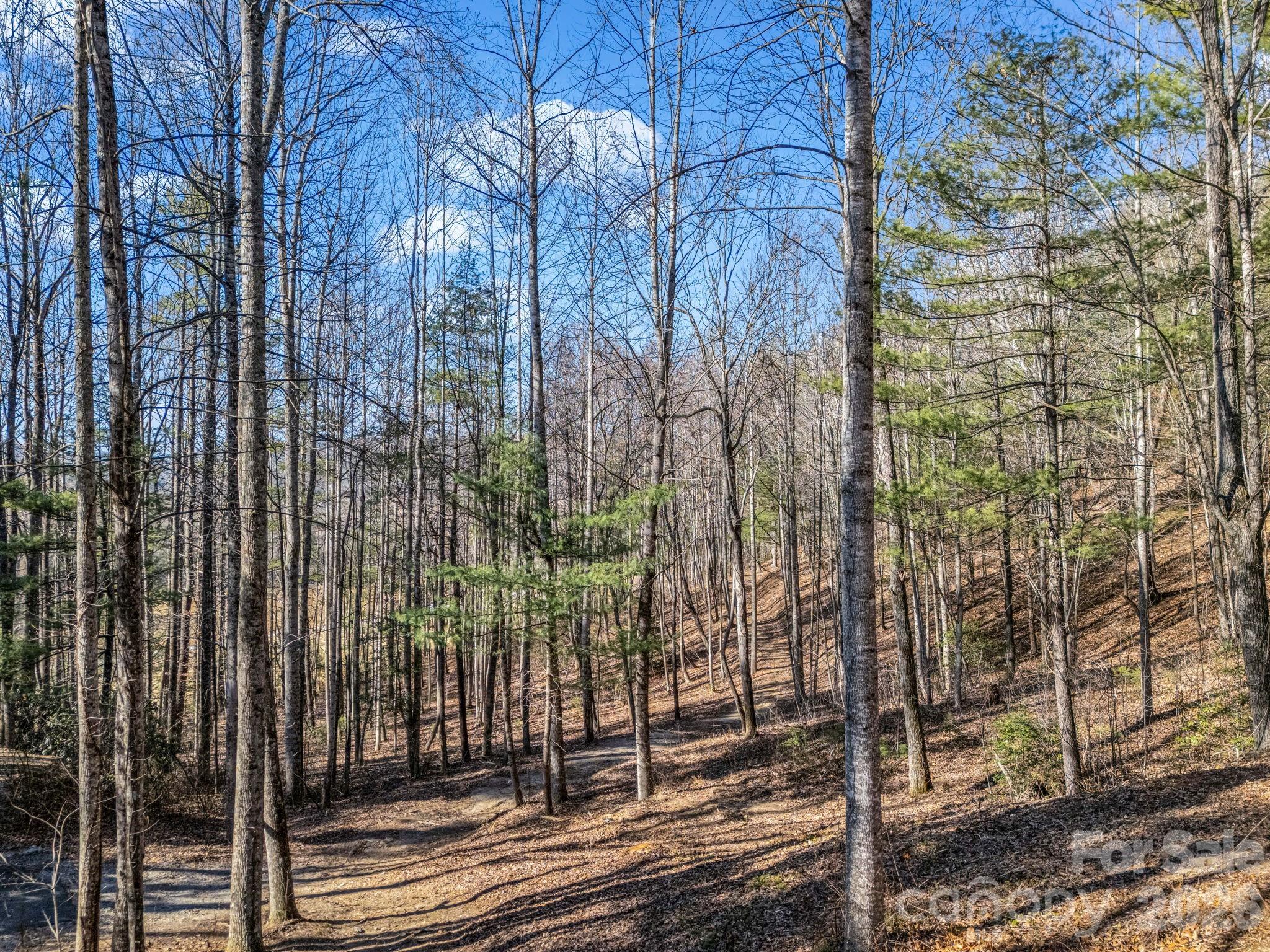 171 Justamere Lane Hendersonville NC 28739