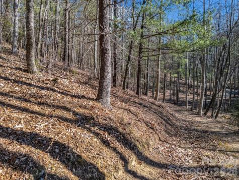 171 Justamere Lane Hendersonville NC 28739