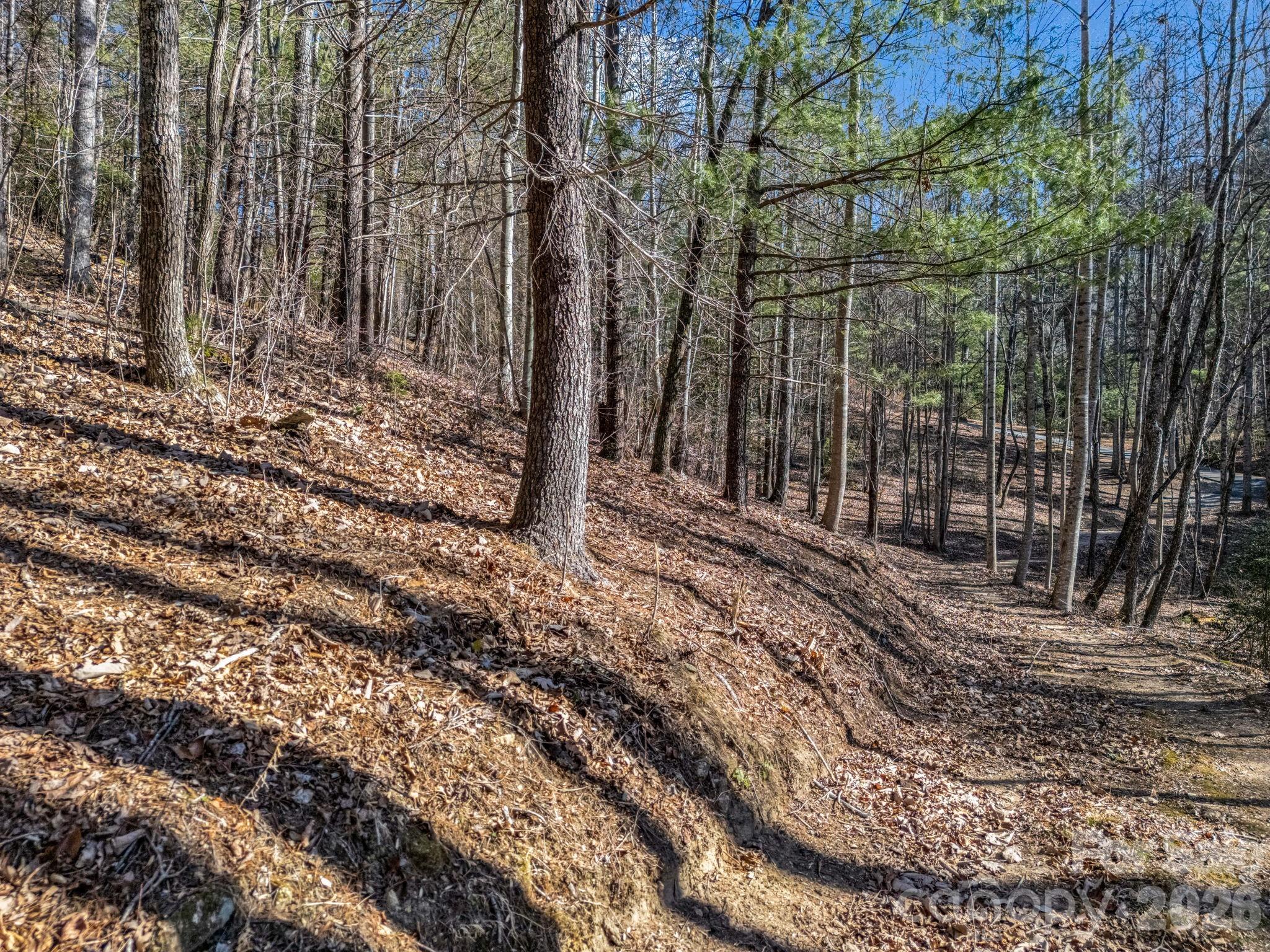 171 Justamere Lane Hendersonville NC 28739