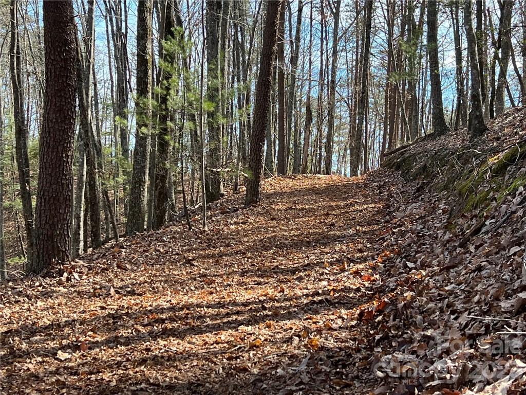 0 Taylorsville Road Taylorsville NC 28681