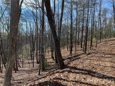 0 Taylorsville Road Taylorsville NC 28681