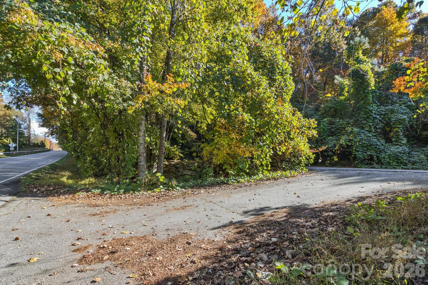 0 Waterside Drive Lake Lure NC 28746