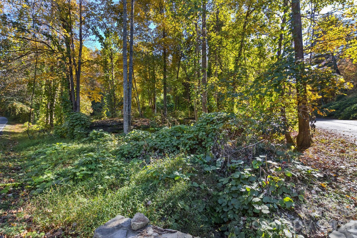 0 Waterside Drive Lake Lure NC 28746
