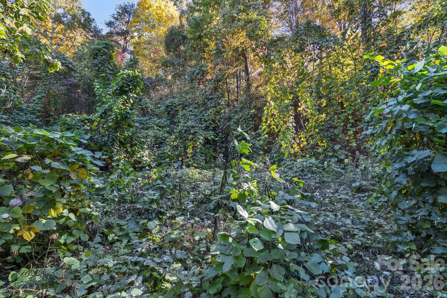 0 Waterside Drive Lake Lure NC 28746