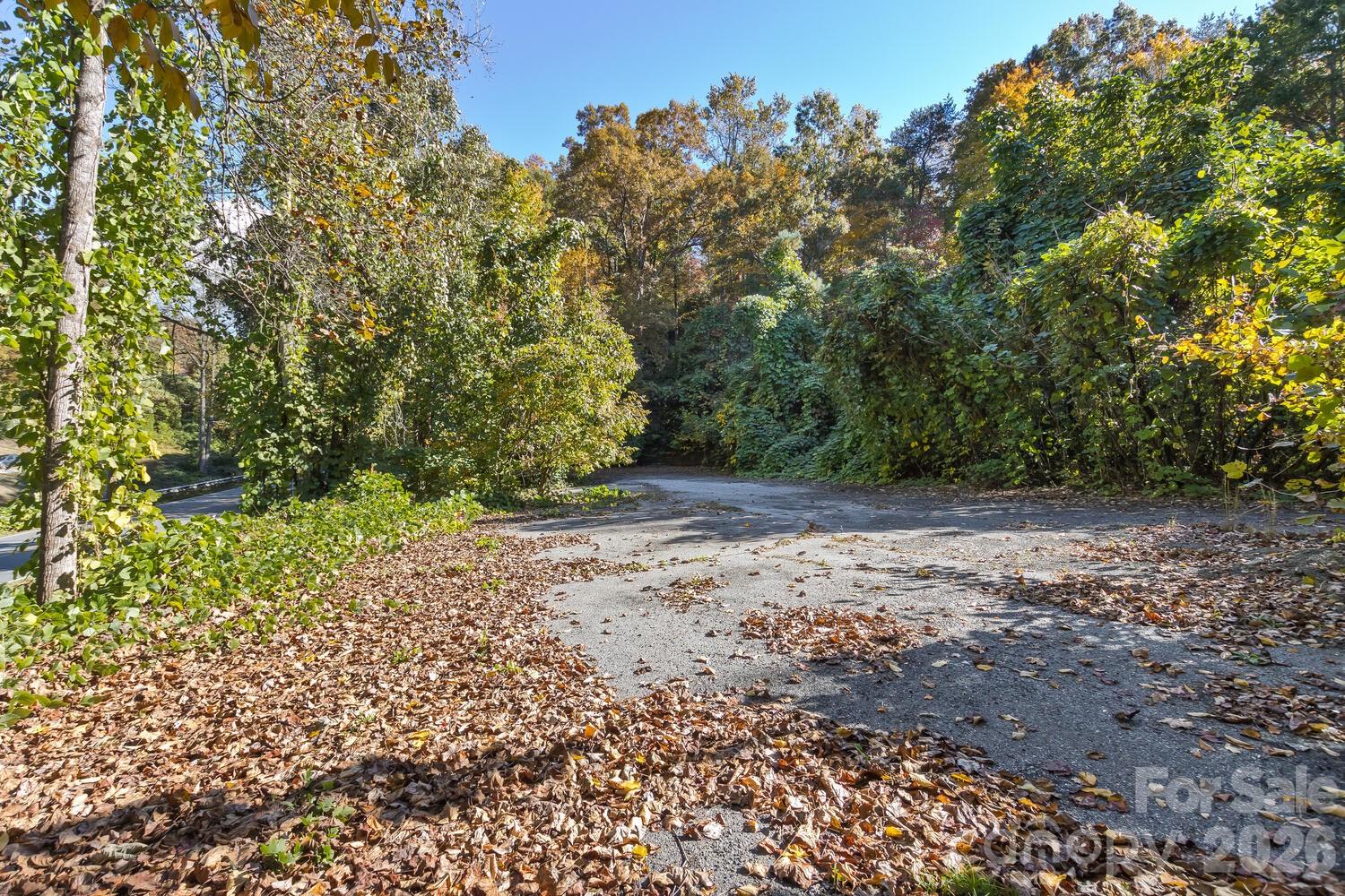 0 Waterside Drive Lake Lure NC 28746