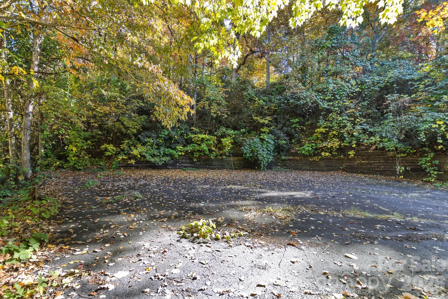 0 Waterside Drive Lake Lure NC 28746