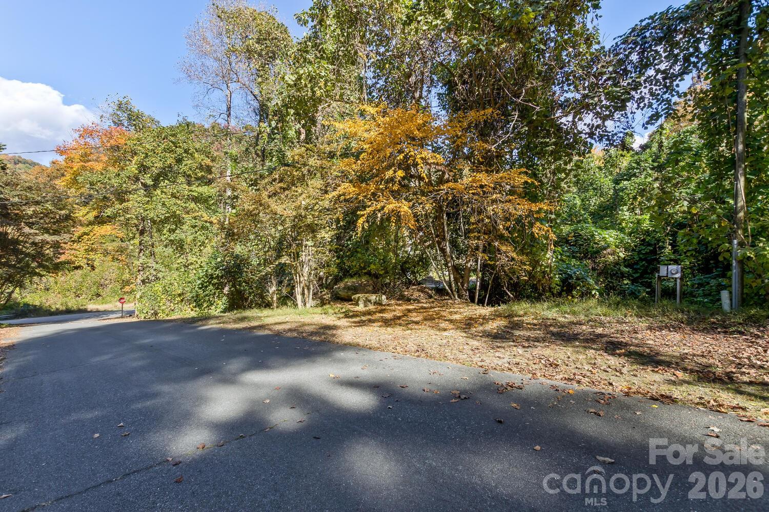 0 Waterside Drive Lake Lure NC 28746