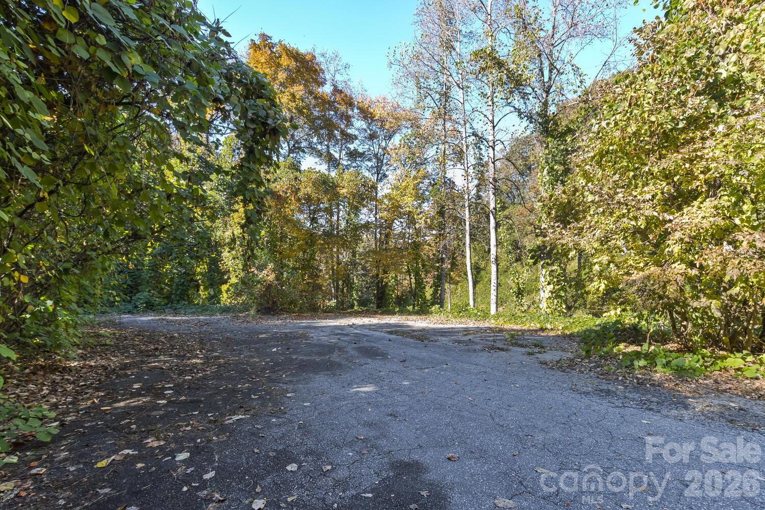 0 Waterside Drive Lake Lure NC 28746