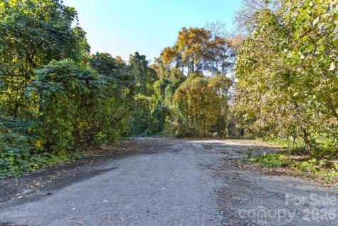 0 Waterside Drive Lake Lure NC 28746