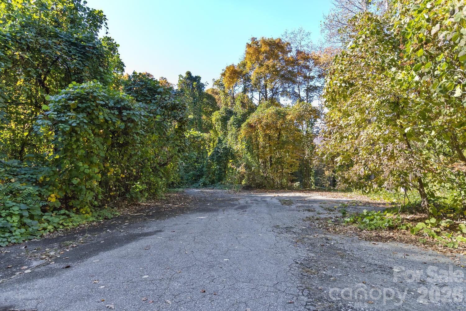 0 Waterside Drive Lake Lure NC 28746